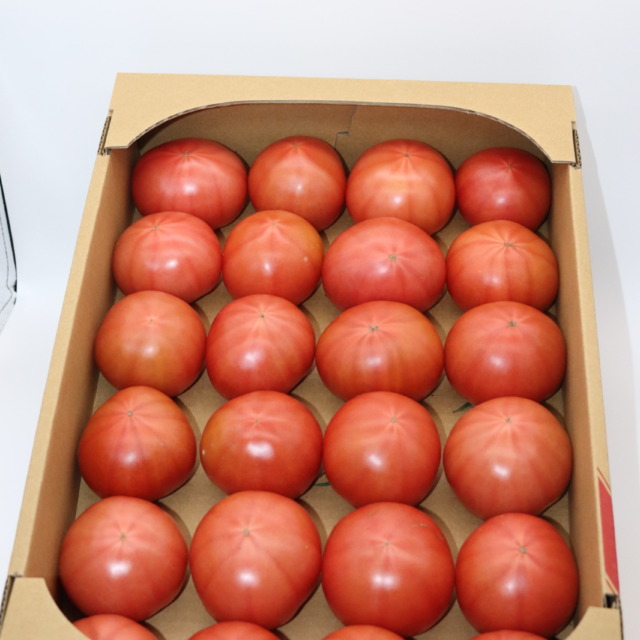 大玉トマト　約４kg