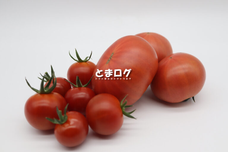 トマト好きのトマトブログ│とまログ